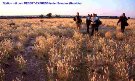 Der Desert-Express h�lt f�r unser Quartett zwischen Swakopmund und Windhoek in der Savanne (> zum Walking).