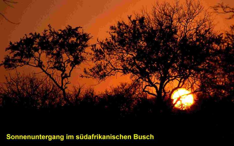 Sonnenuntergang bei unserer Privat-Safari